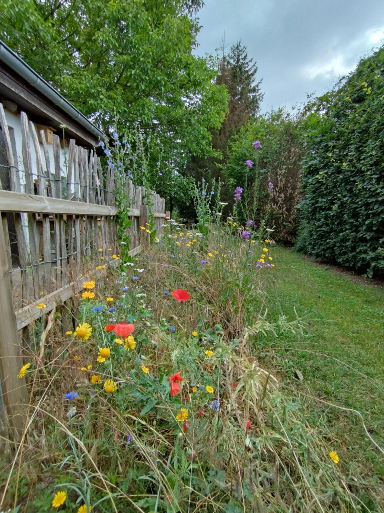 Hinkelshof - 3 Gastezimmer - Naturnah, Okologisch, Urig, Selbstversorgerkuche Korperich Exterior photo